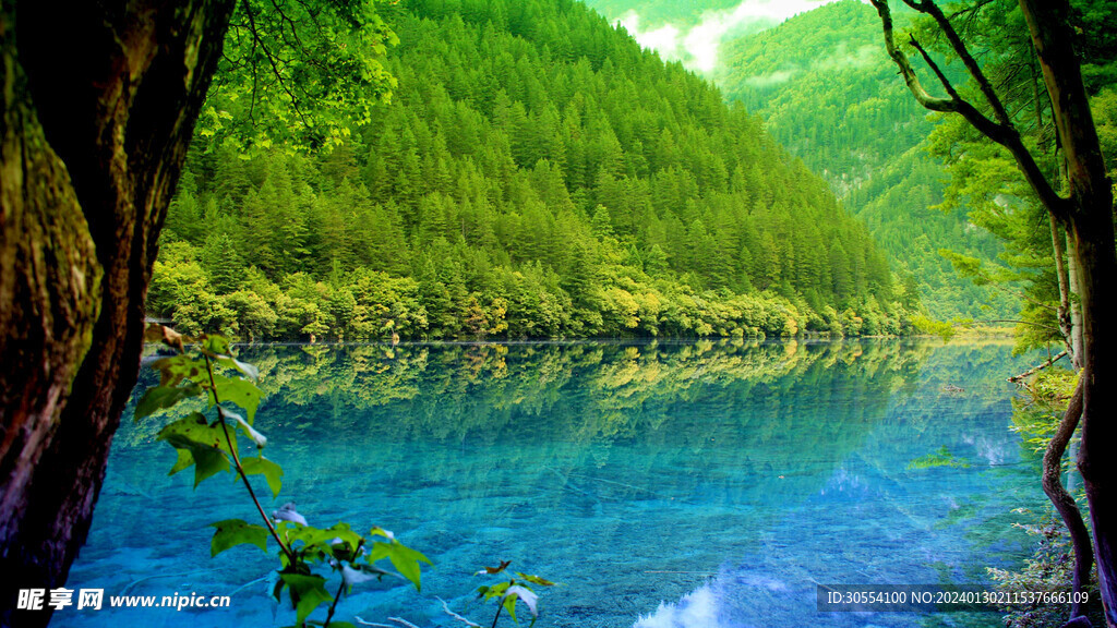 美丽湖泊山峰森林风景图片
