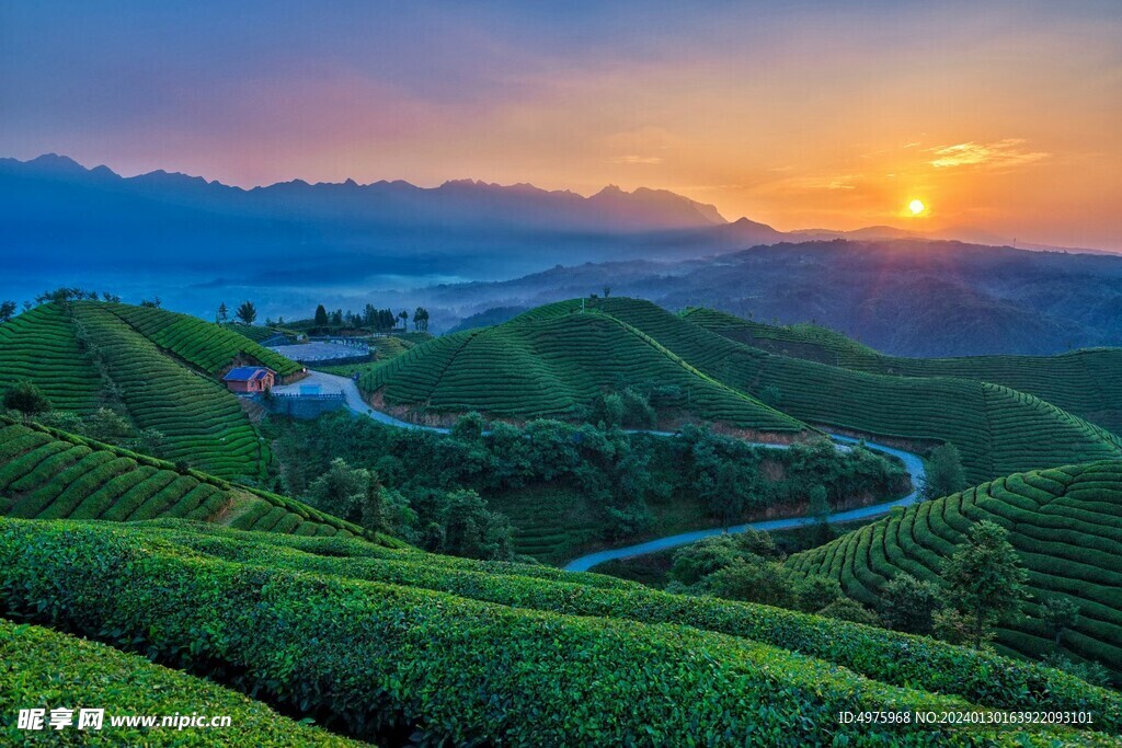 走马茶山