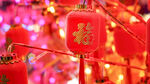 春节喜庆挂件福字灯笼