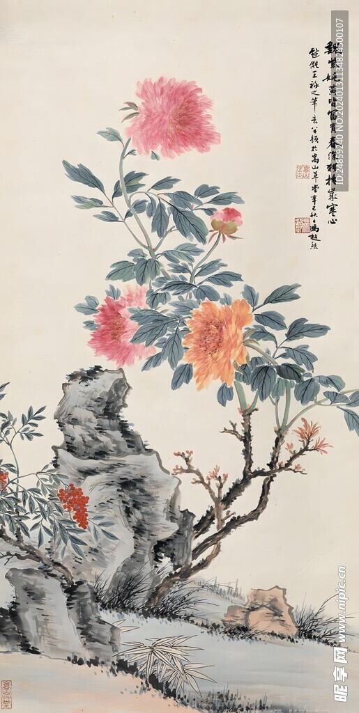 牡丹图