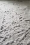雪景