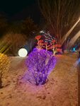 夜色雪景