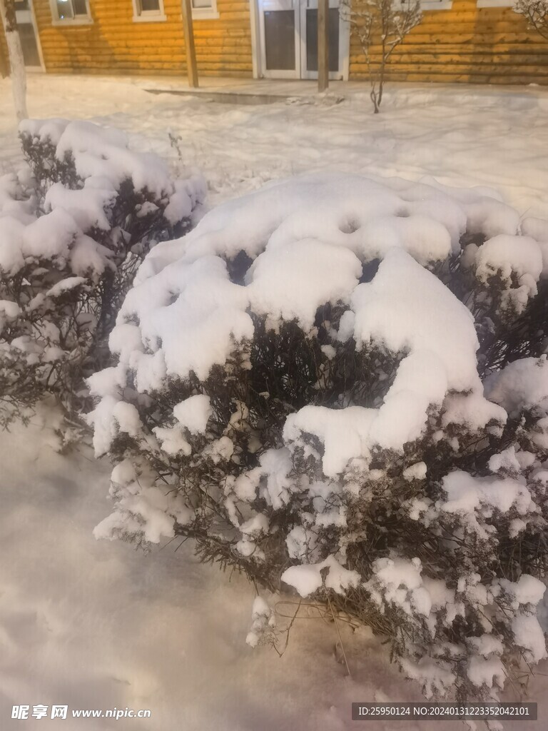 雪景