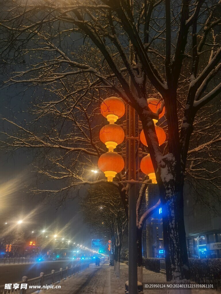 雪景