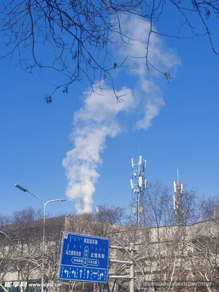 树枝