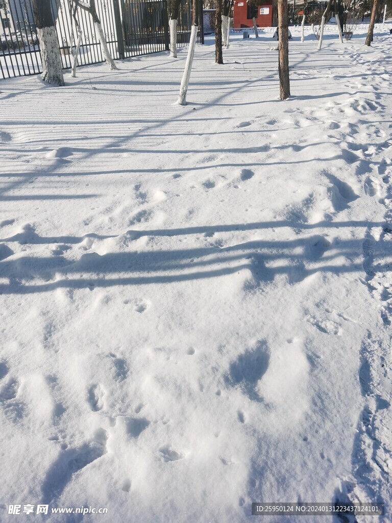 雪景