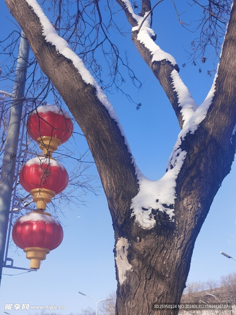  雪景