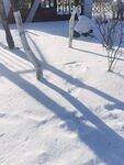 雪景