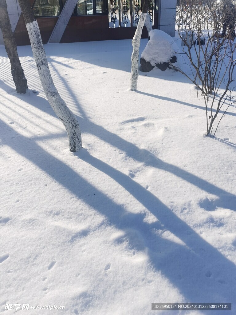 雪景