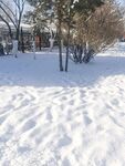 雪景