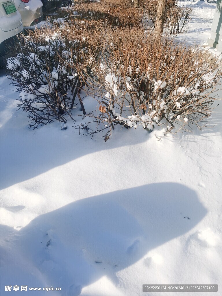  雪景