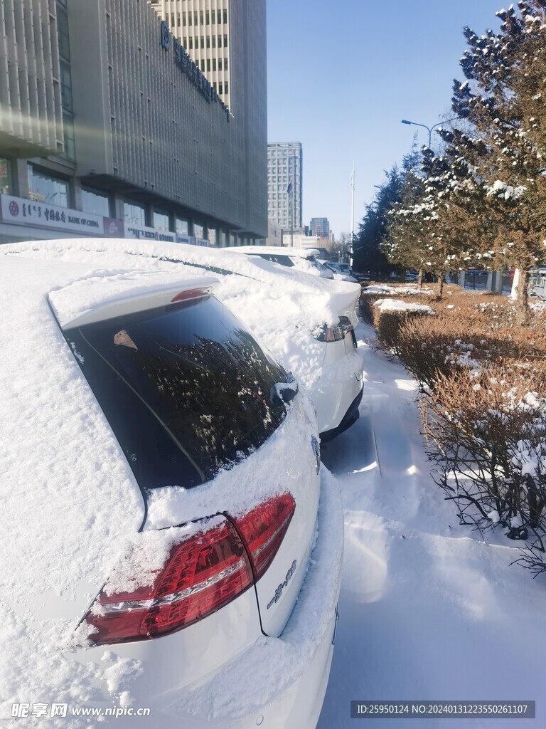 雪景