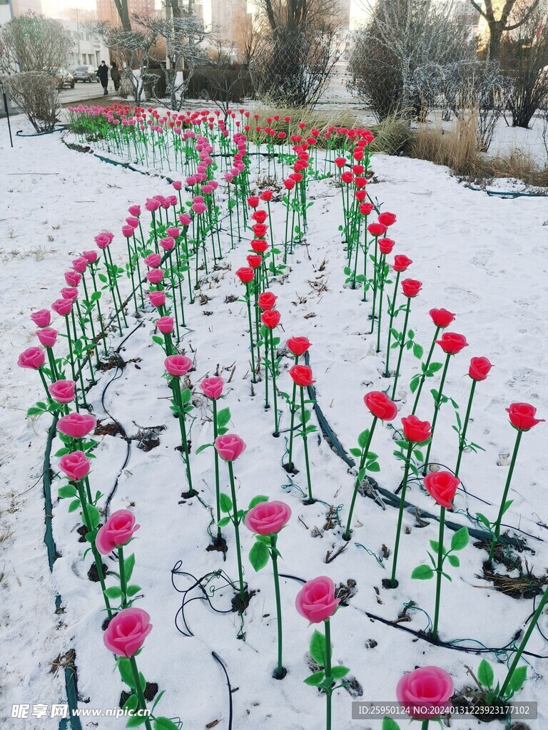 雪景