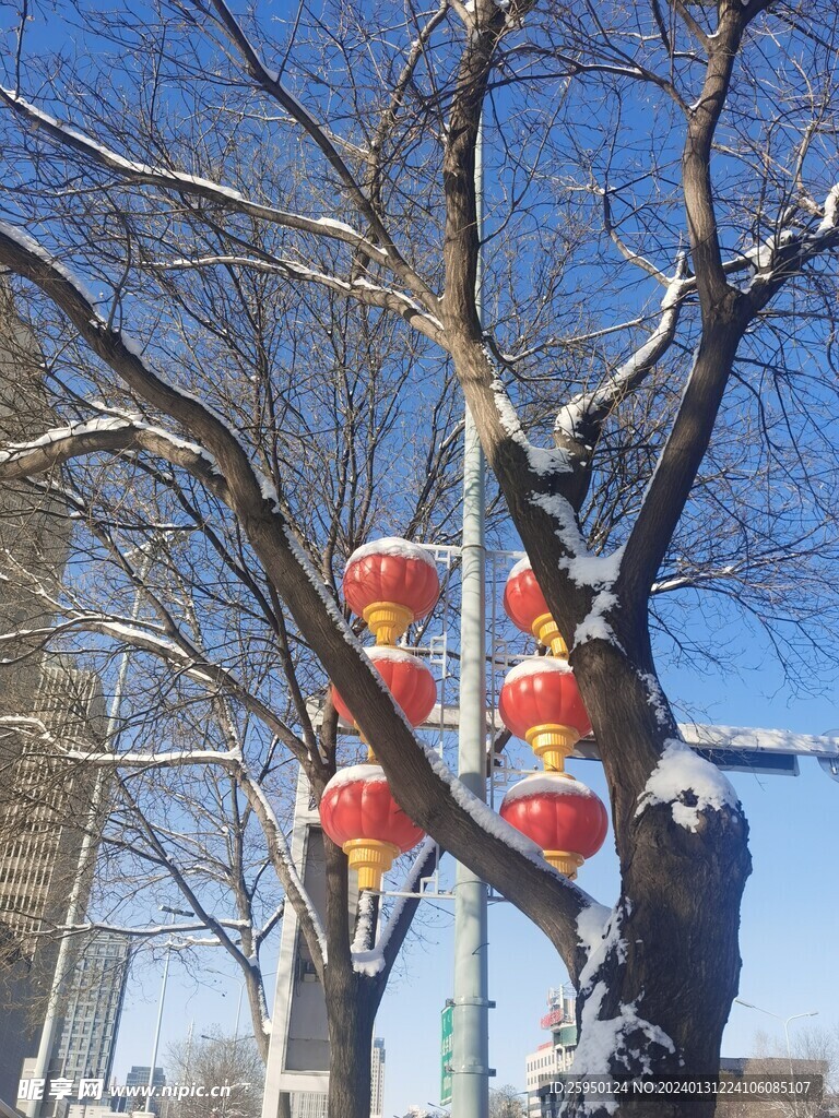 雪景