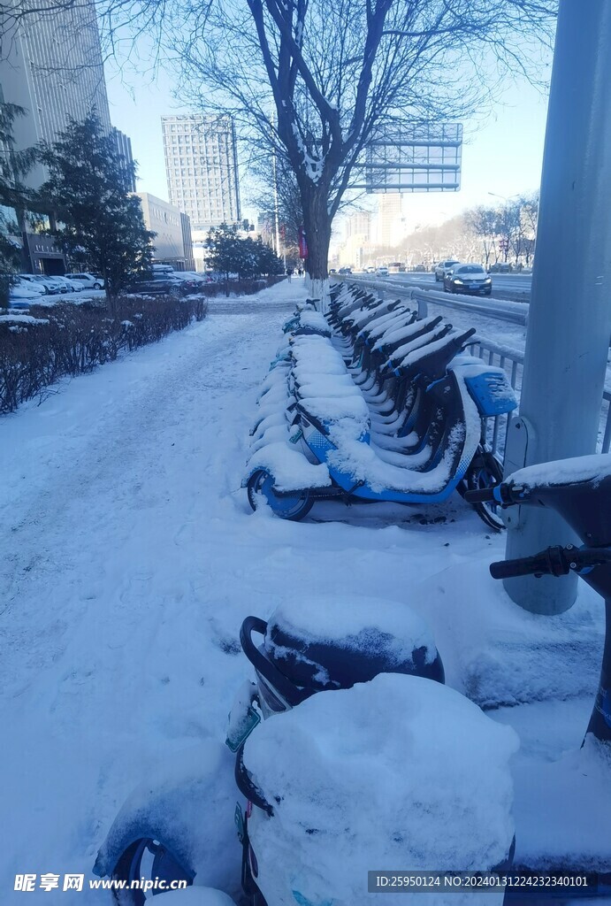 雪景