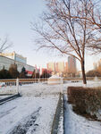 雪景