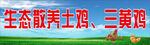 散养鸡