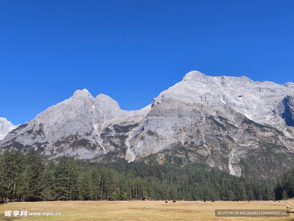 玉龙雪山