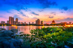 北湖夜景