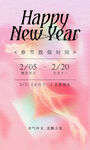 龙年新年粉色美业地产海报报