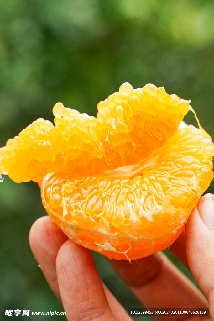 耙耙柑橘子