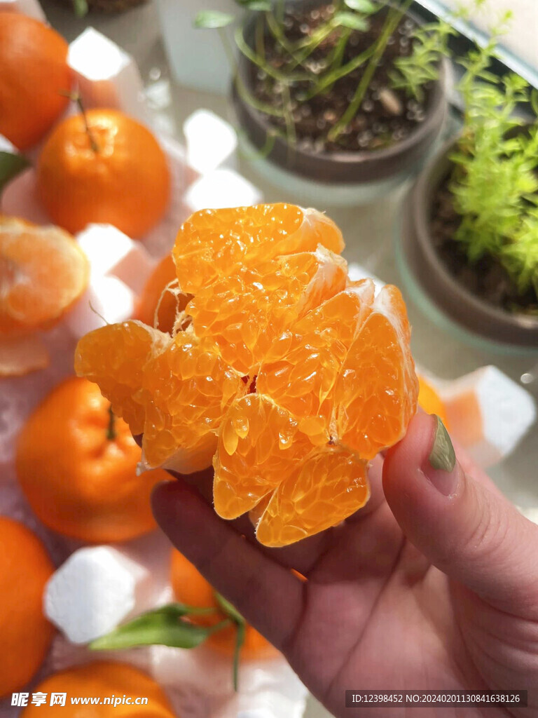 耙耙柑橘子