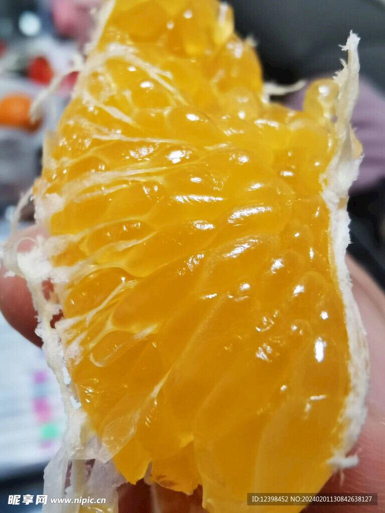 耙耙柑
