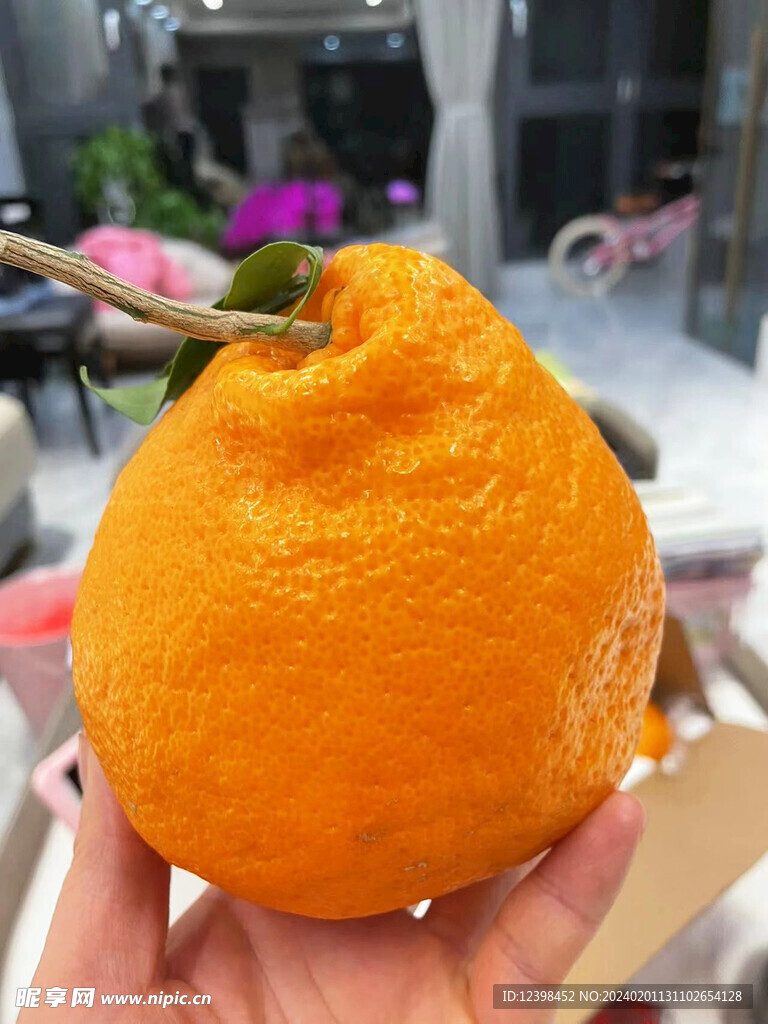 耙耙柑