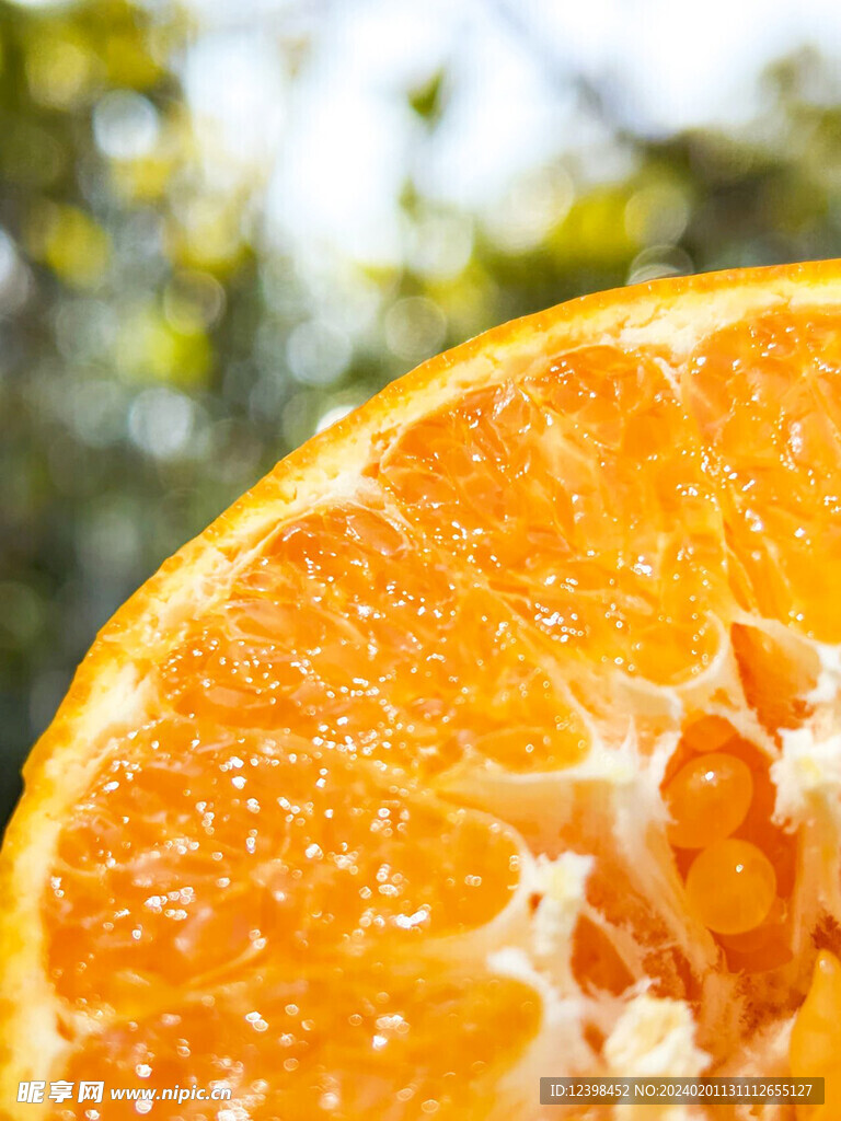 耙耙柑