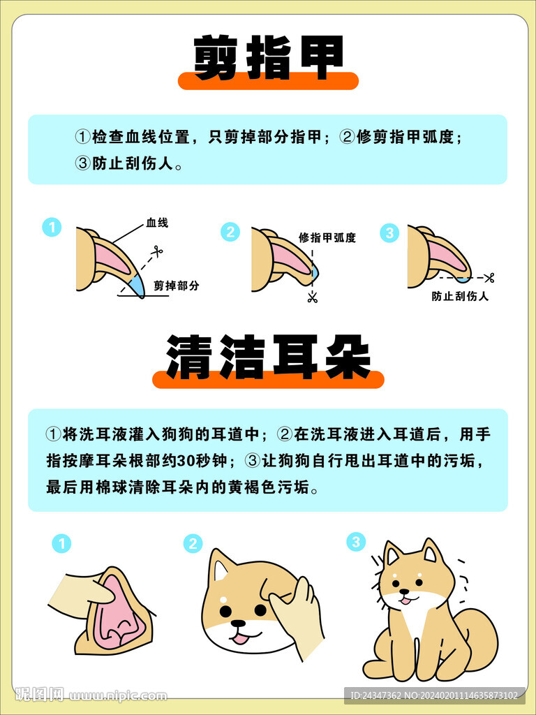 宠物洗护