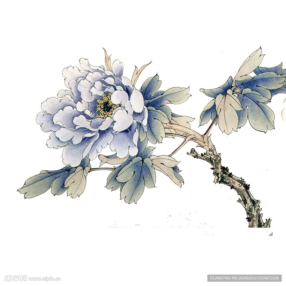 牡丹花元素