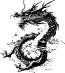 2024龙元素