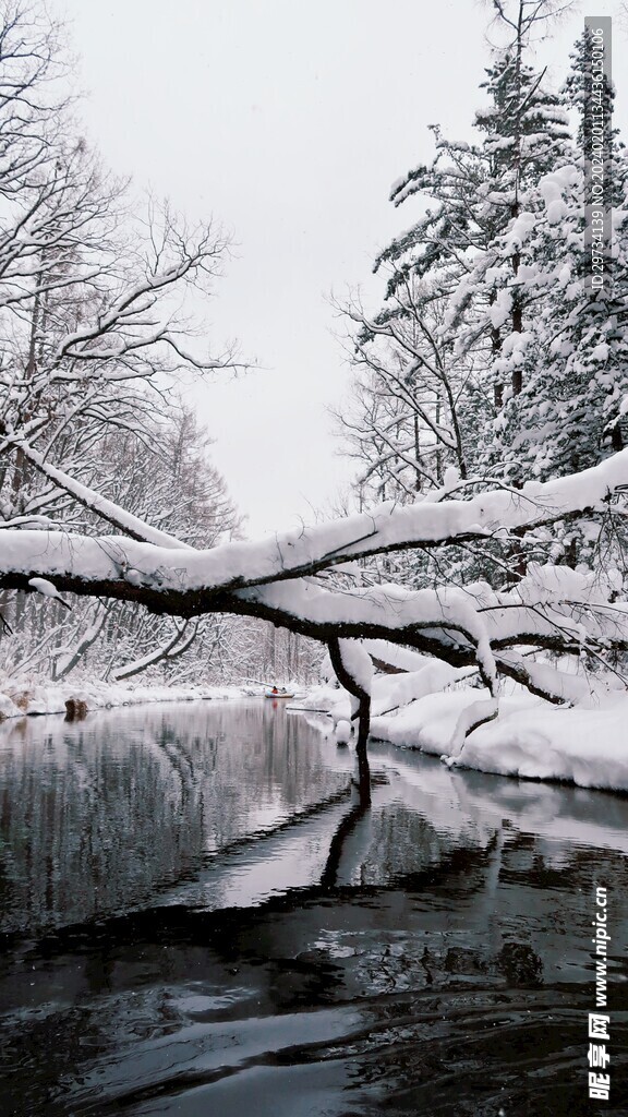 雪景