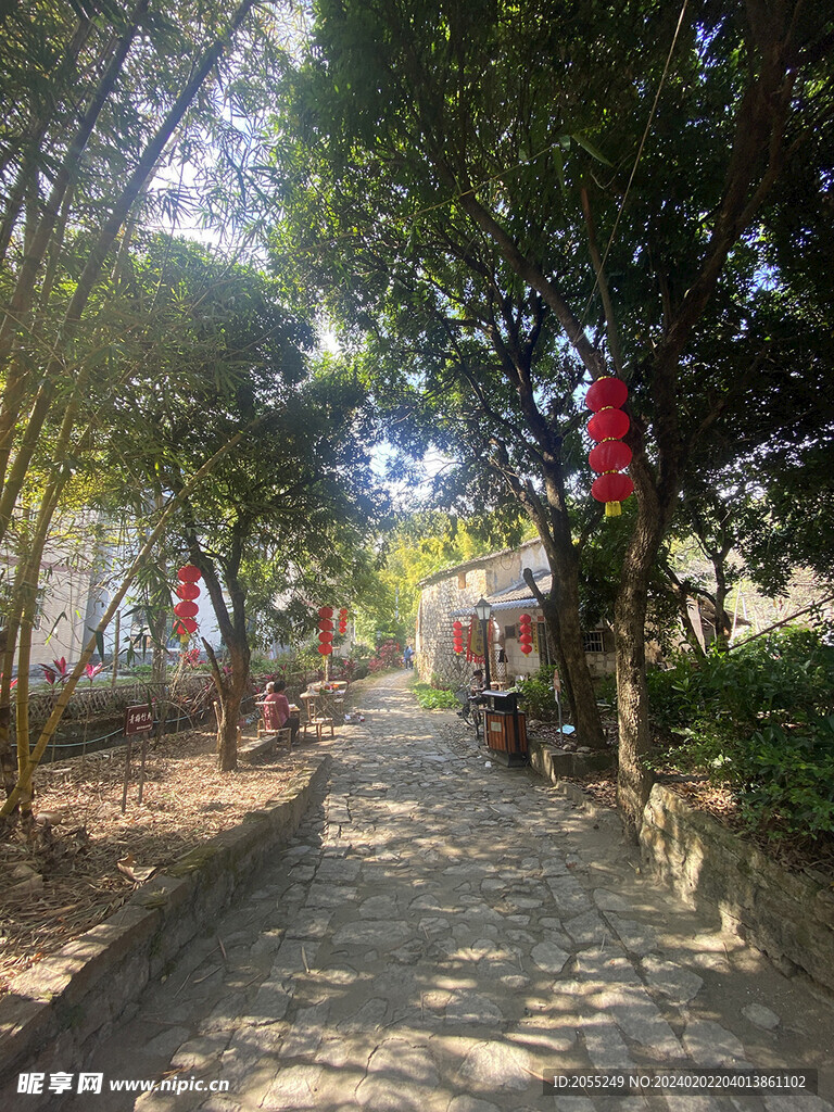 潮州市饶平县东山镇东明村梅花节