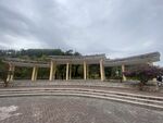 潮州市饶平县东山镇东明村梅花节