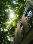 哥伦比亚大学小景