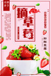 摘草莓