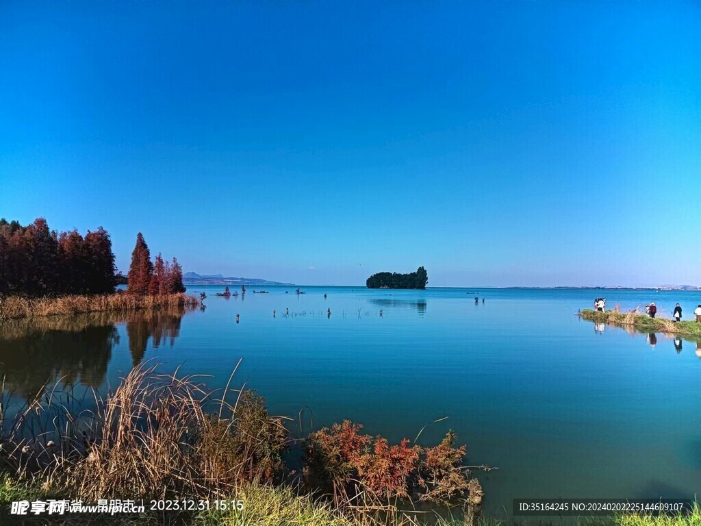 水上鲸鱼岛