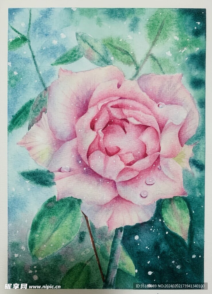 花卉
