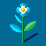 报春花