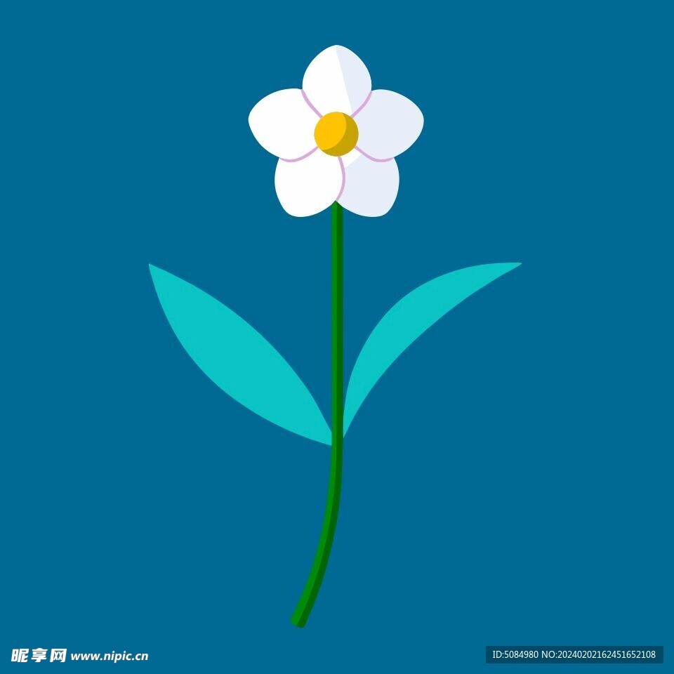 报春花