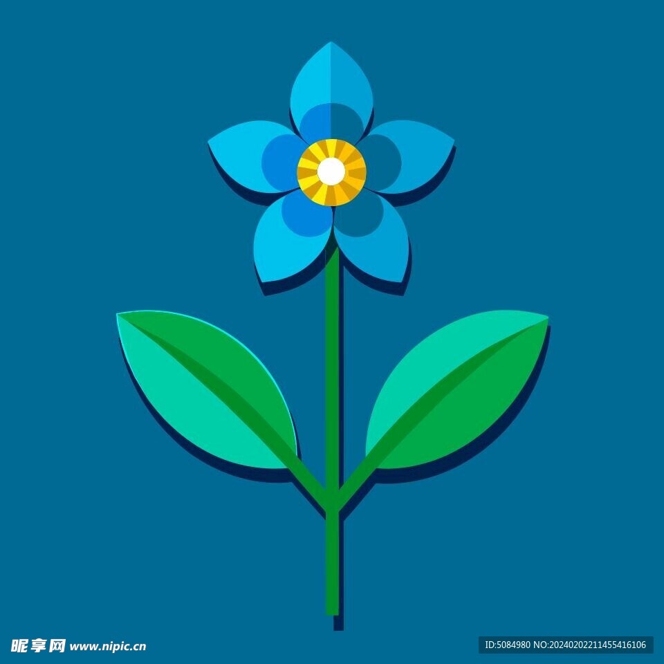 报春花