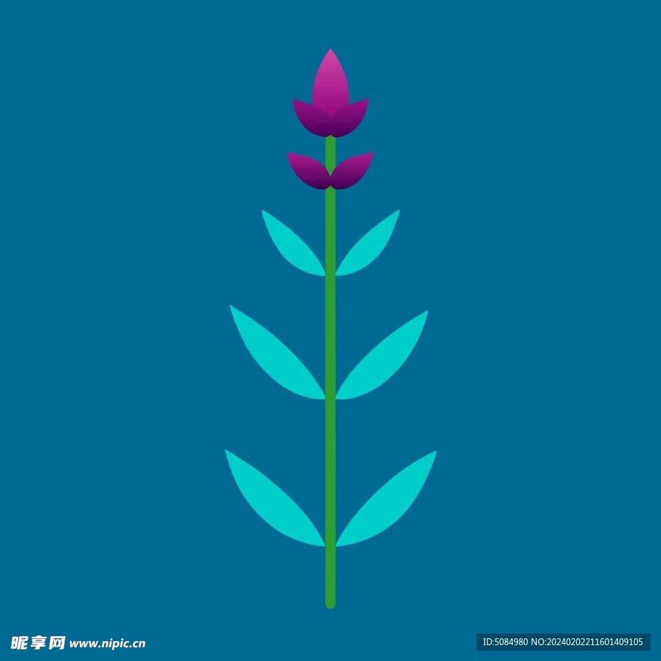 茴香花