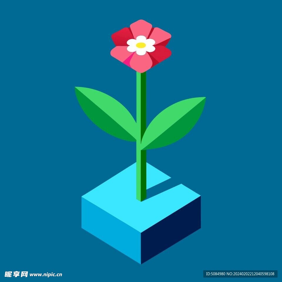 报春花