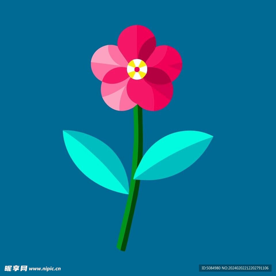 报春花
