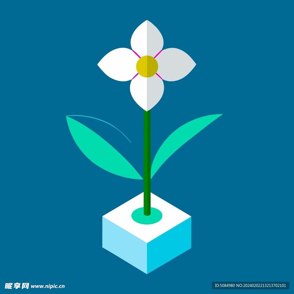 兰花