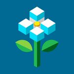 报春花