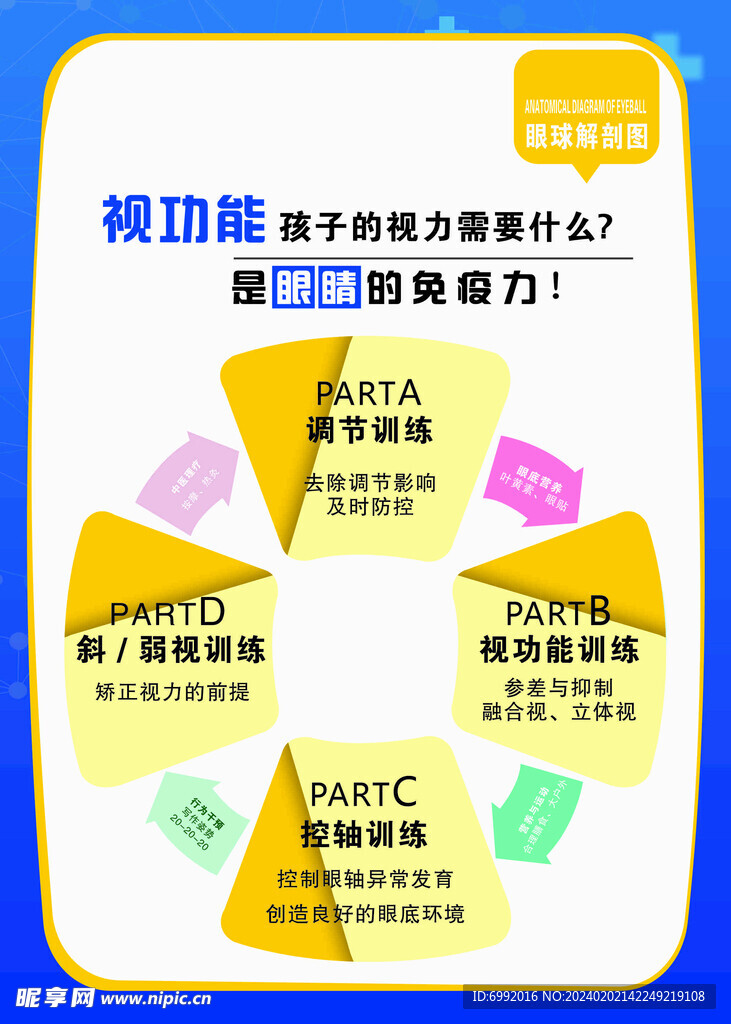 视功能