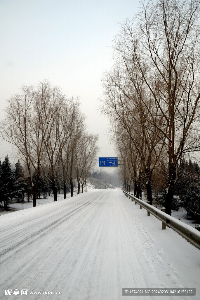 雪中树枝