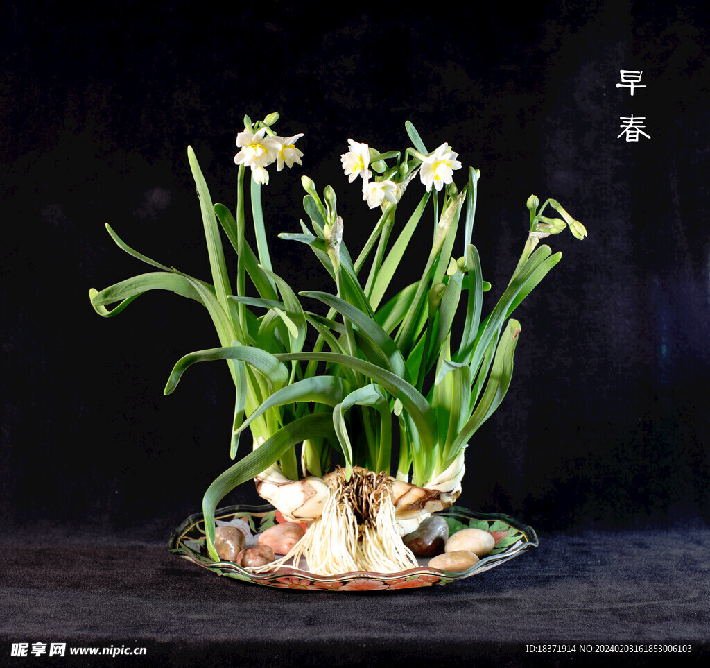 早春